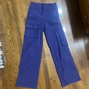 Aritizia Wilfred Beautiful Blue Cargos
